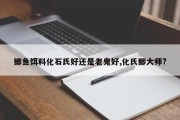 鲫鱼饵料化石氏好还是老鬼好,化氏鲫大师?